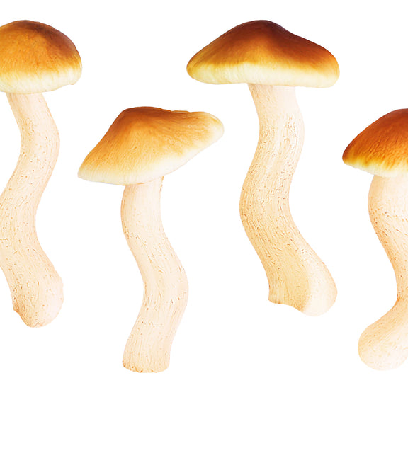 Kaufe für €60 ein – erhalte The Shroom Essence